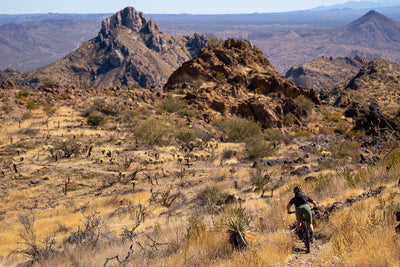 All Seasons on the Arizona Trail